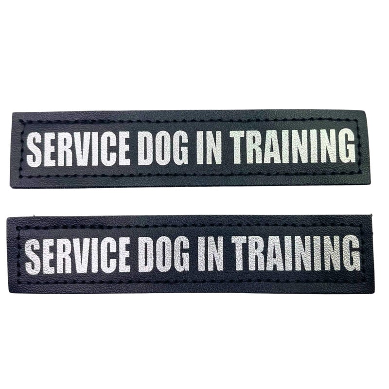 Albcorp Reflective Service Dog In Training Patches with Hook Backing for Service Animal Vests /Harnesses Small (4.6 X 1) Inch - Image 1
